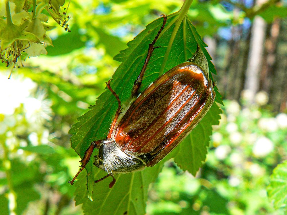 Photograph by Алексей Борисов