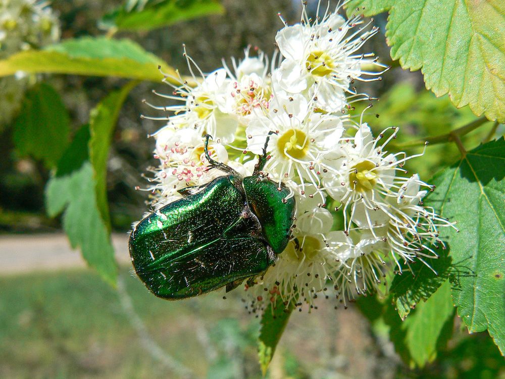 Photograph by Алексей Борисов