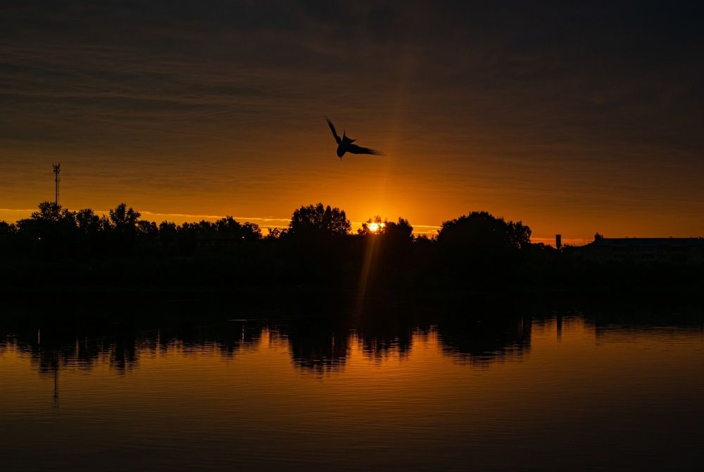Рассвет на озере