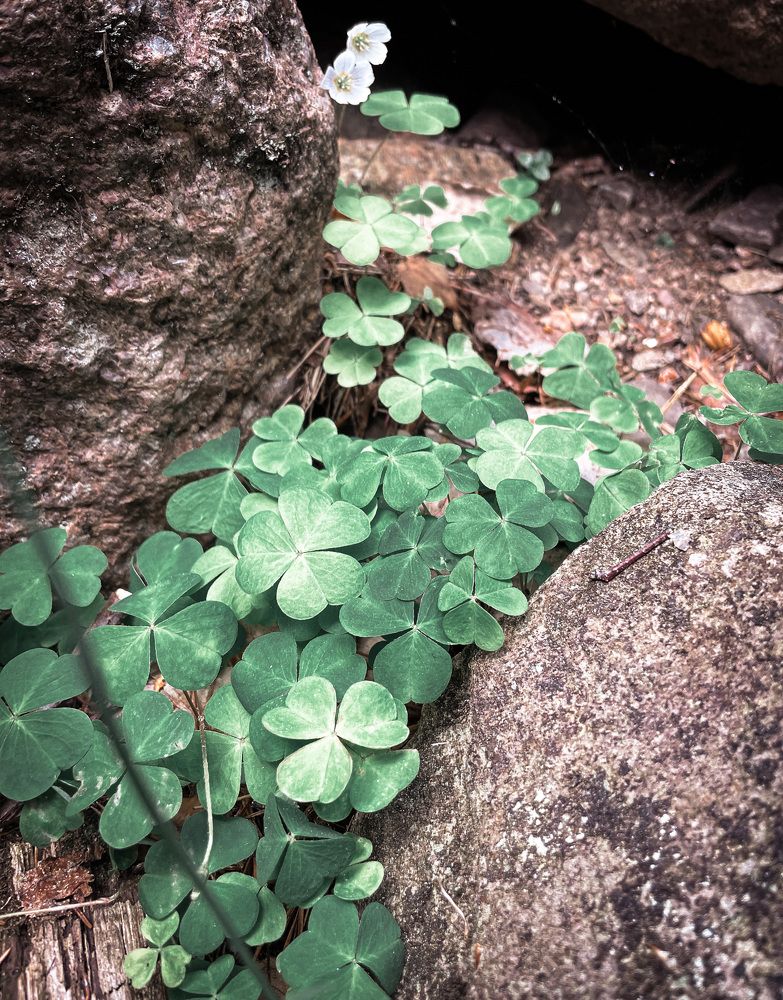 Фотография автора Anna NovaLova