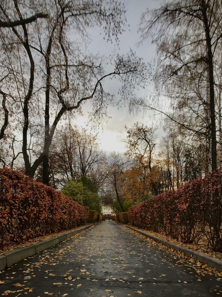 Photograph by Наталья