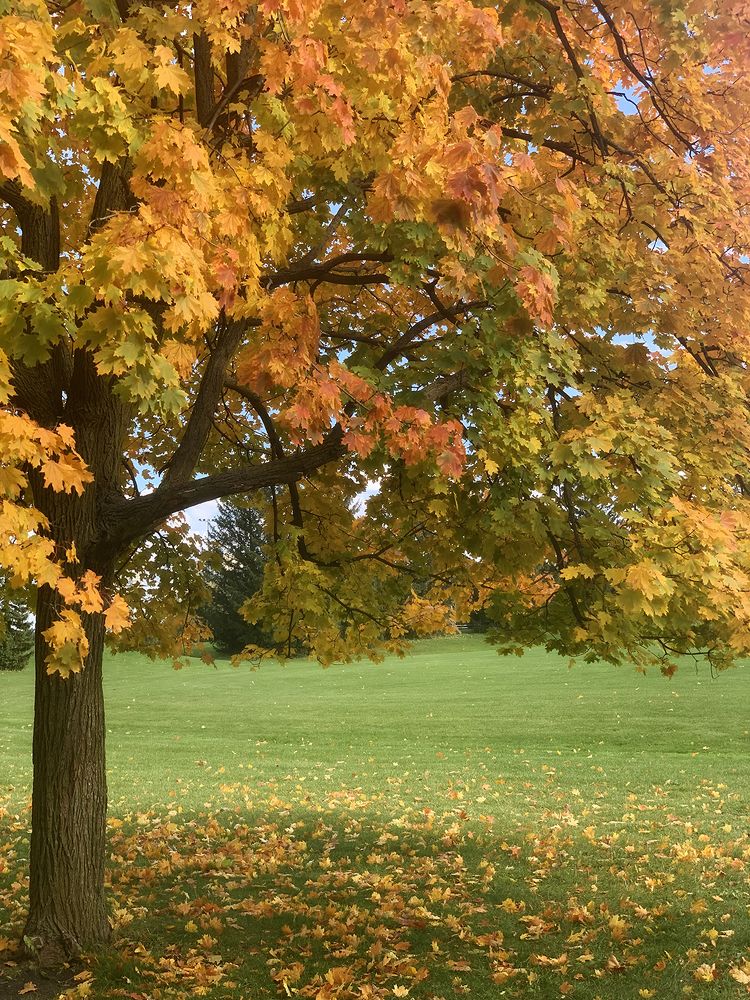 Photograph by Liliana Grup