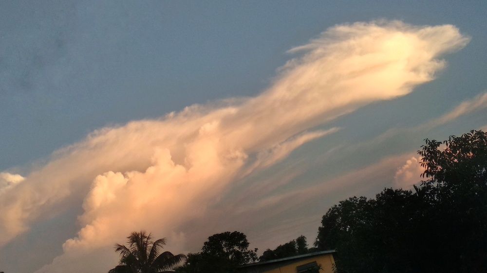 Photograph by Monuj Kr Dutta