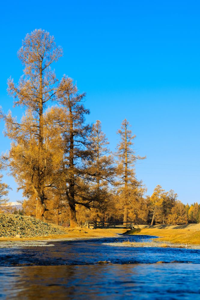 Photograph by Мешков Кирилл