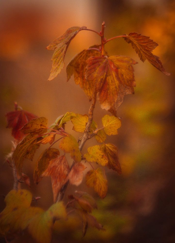 Photograph by Александр Жариков