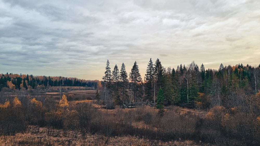 Фотография автора Всеволод Юрша
