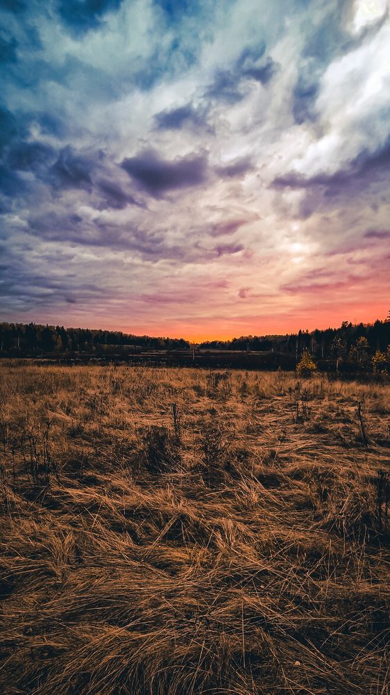 Фотография автора Всеволод Юрша