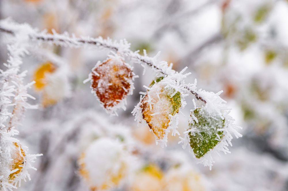 Осень в горах