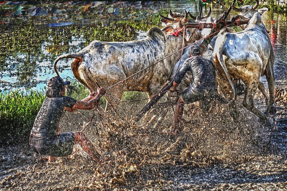 Photograph by Vy Van Bui