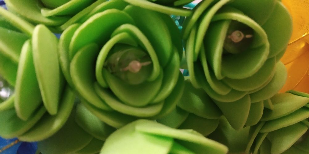 Photograph by s s subrahmanyam