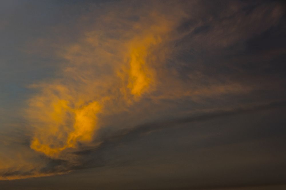 Photograph by Vy Van Bui