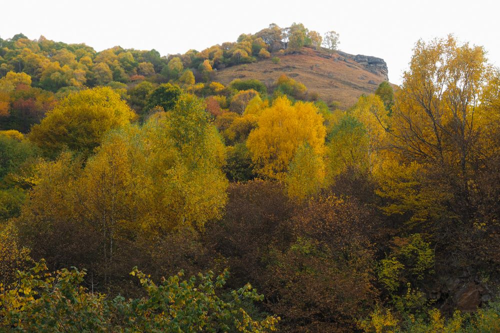 Photograph by Лейла Прощина