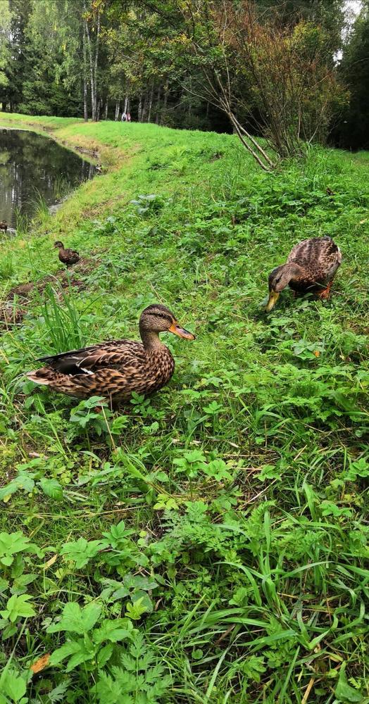 Photograph by Anna Yolshina