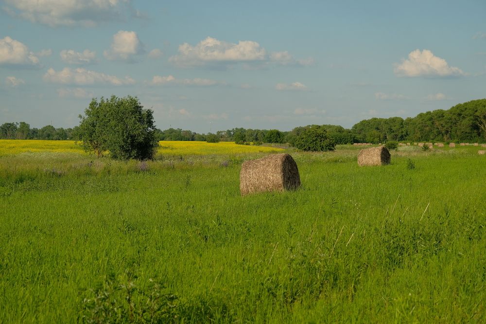 Photograph by Сергей Кравченко