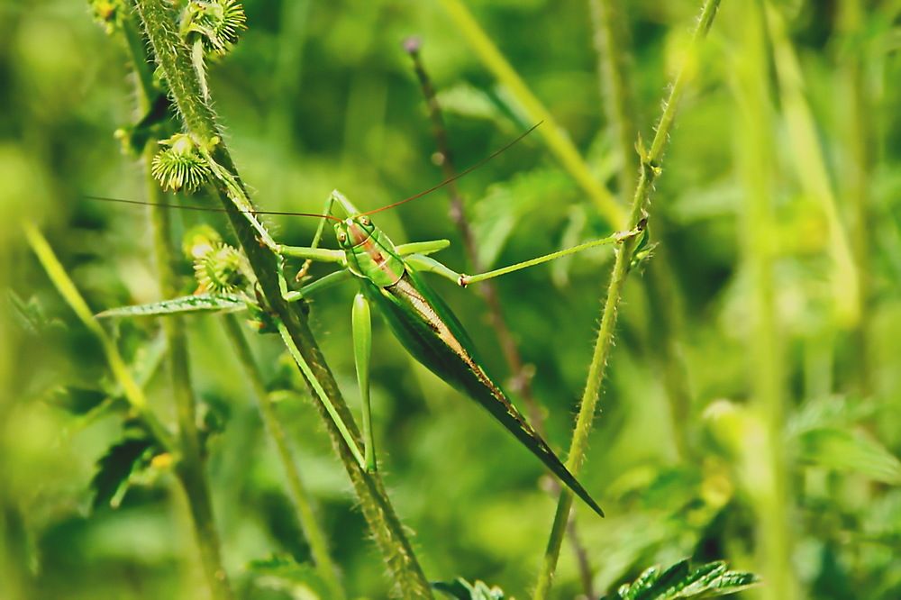 Photograph by Александр