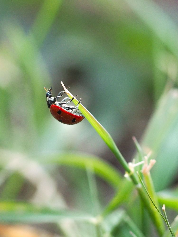 Photograph by Лейла Прощина