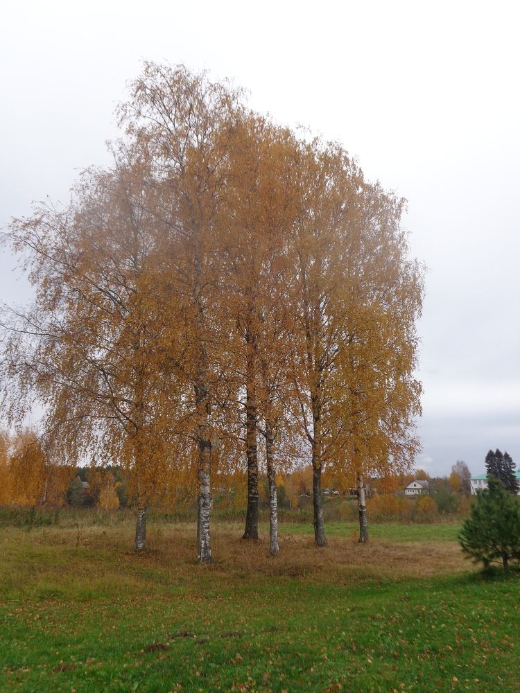 Photograph by Георгий Салюков