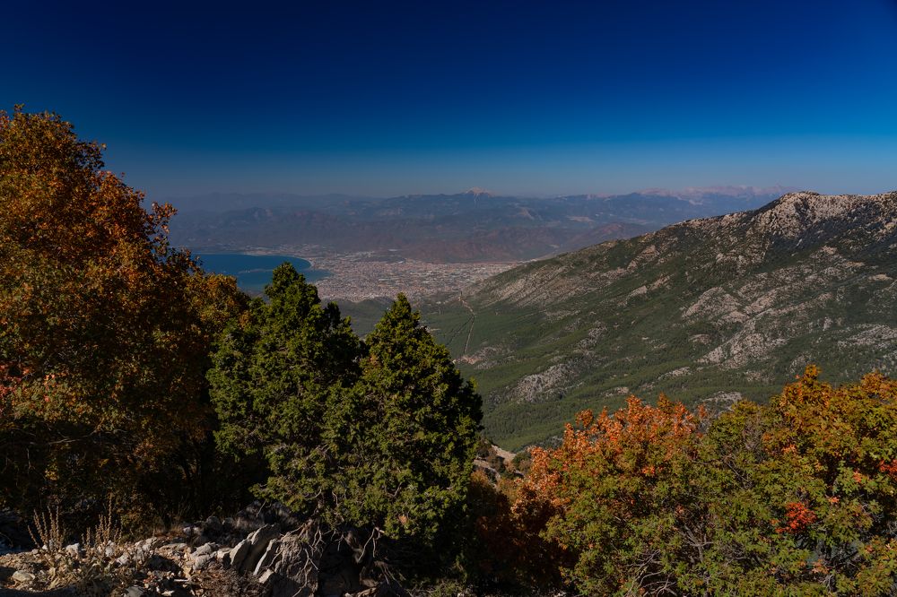 Photograph by Николай Фонарёв