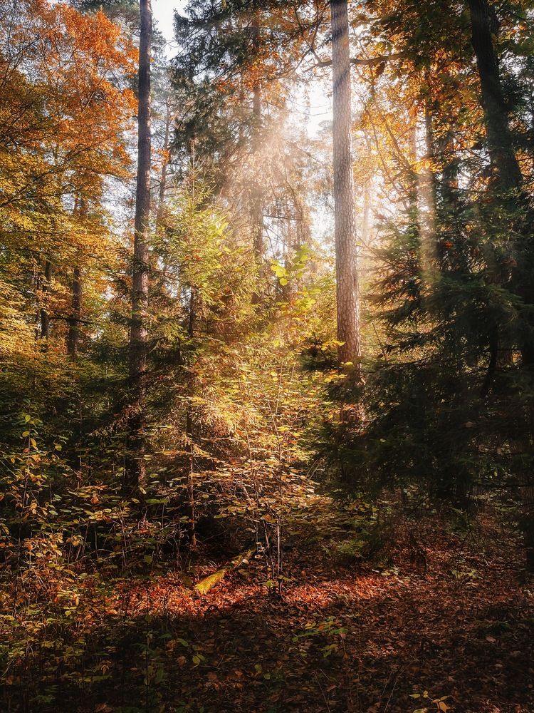 Photograph by Ирина Саакова