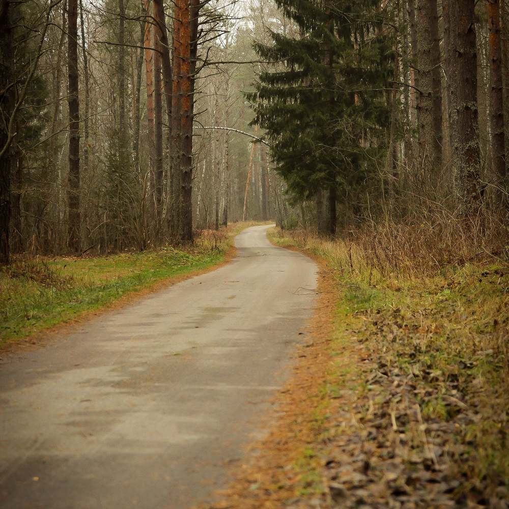 Photograph by Татьяна Погребная