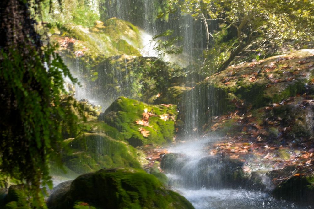 Фотография автора ABHISHEK SHAH