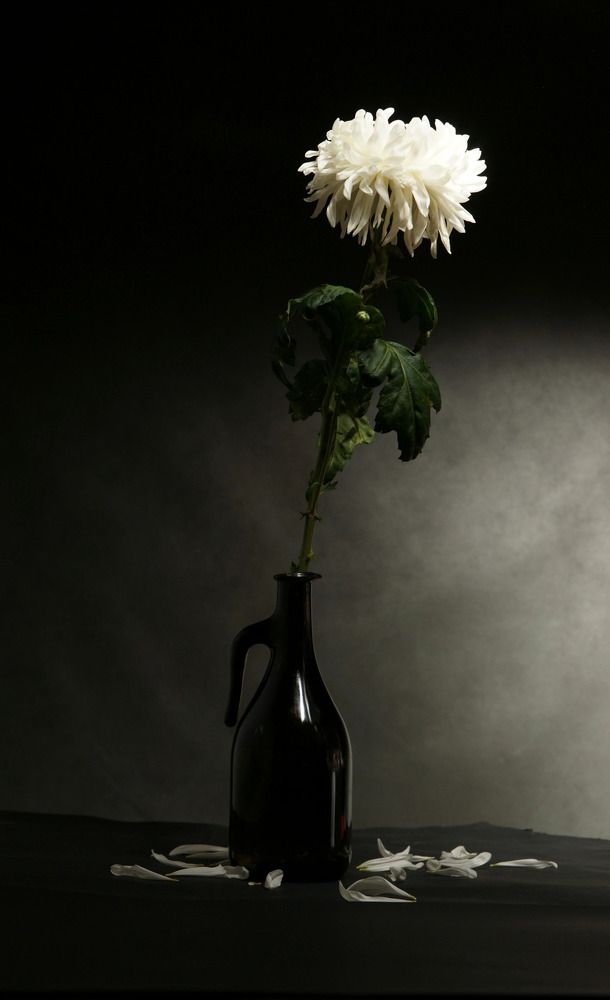 Photograph by Ali Boyko