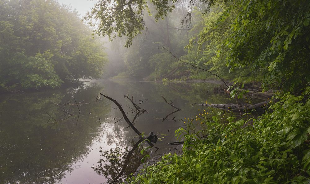 Photograph by Сергей Епишев