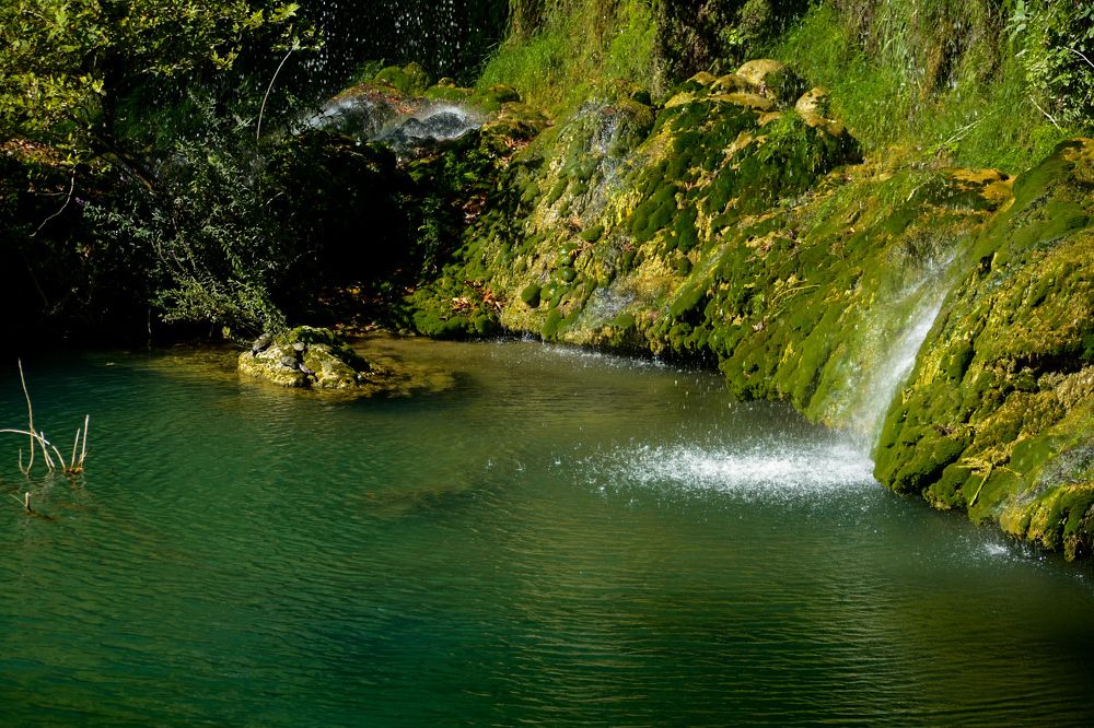 Фотография автора ABHISHEK SHAH