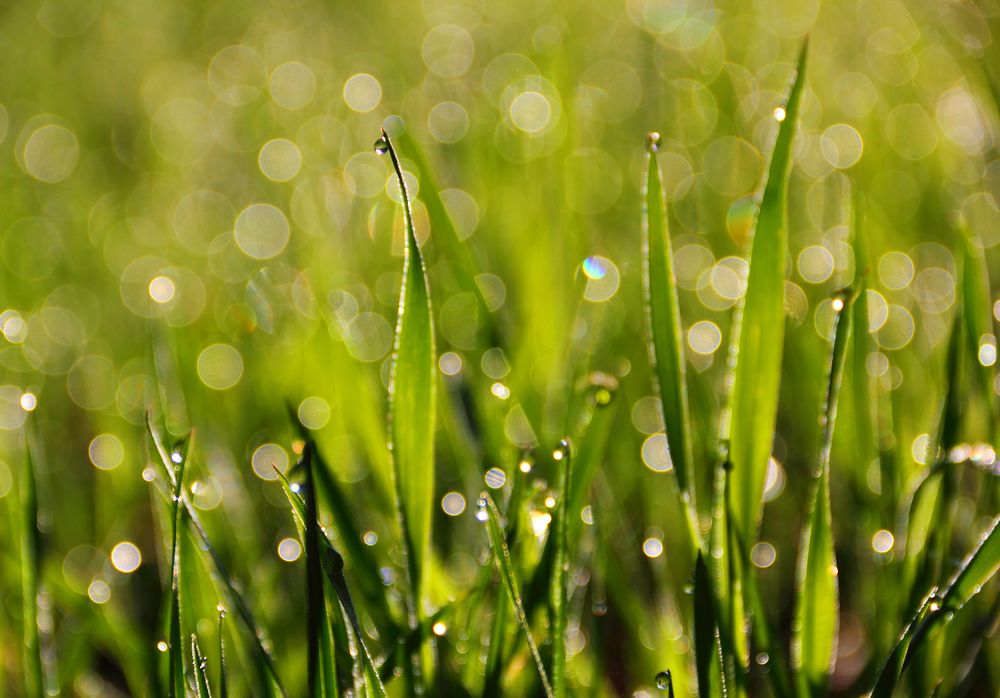 Фотография автора Кухта Мария