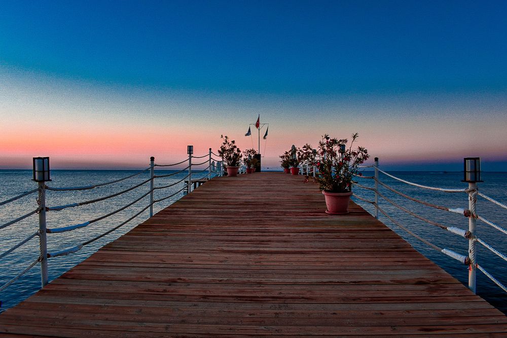 Фотография автора ABHISHEK SHAH