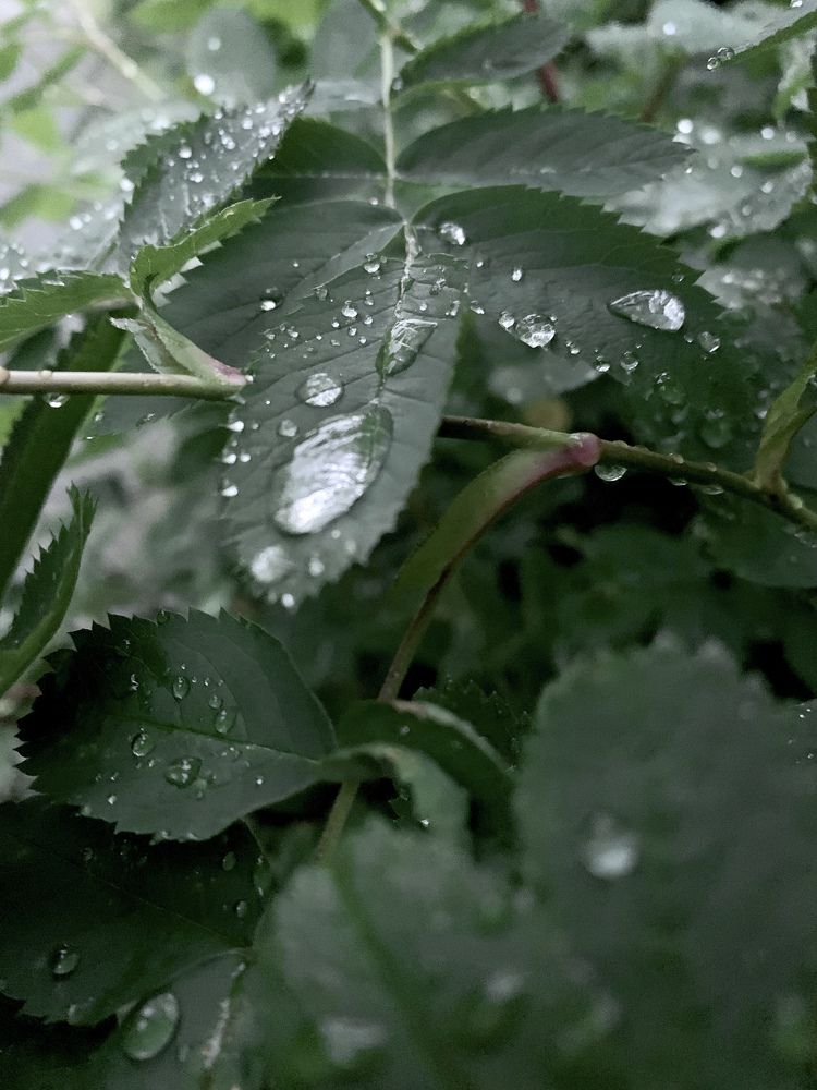 Photograph by Елизавета Ткач