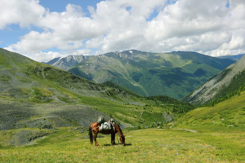 Фотография автора Кухта Мария