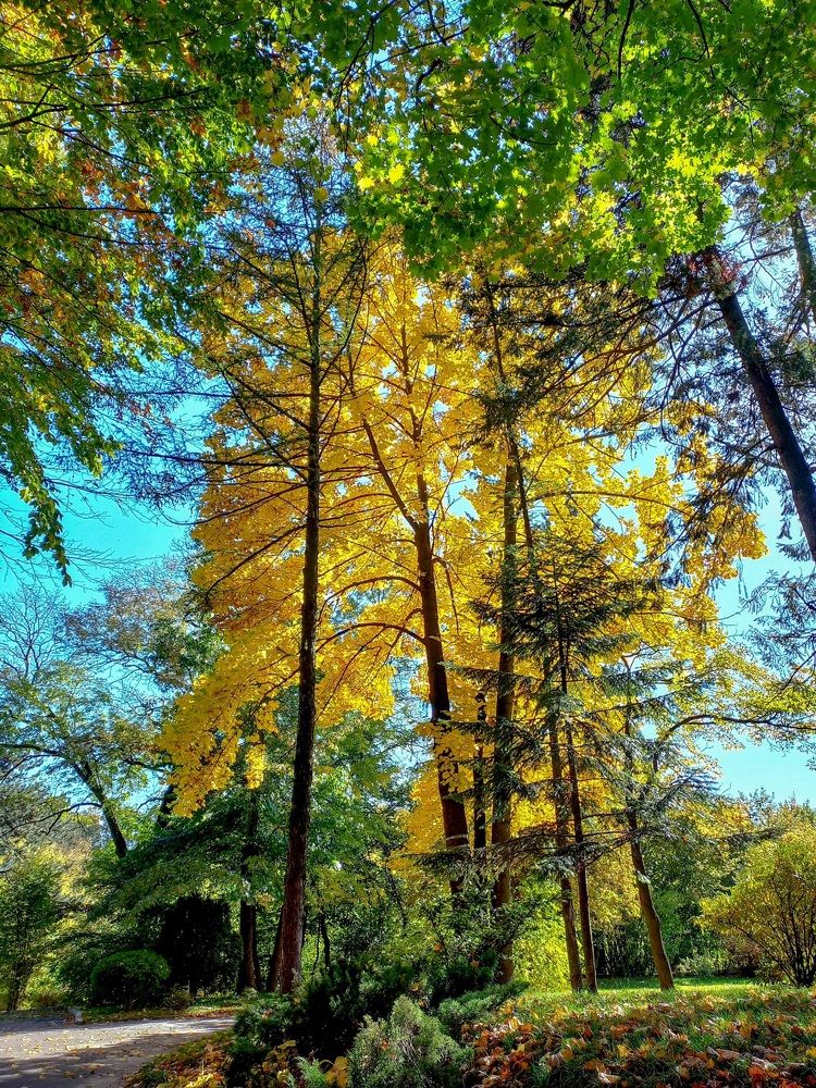 Photograph by Елена Шерман