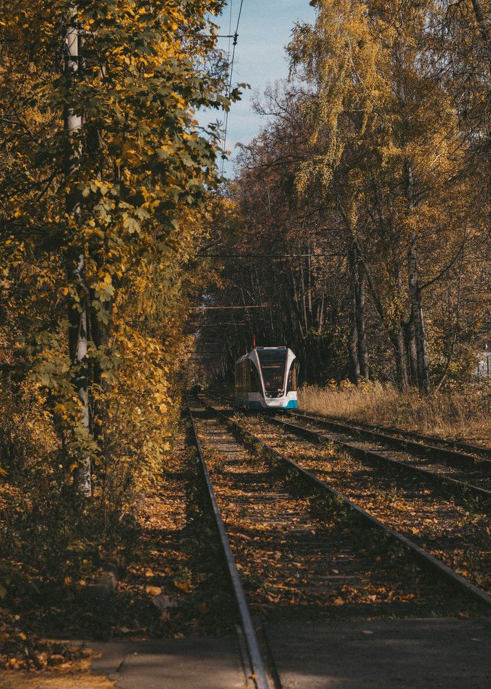 Photograph by Ничикова Алина Владимировна
