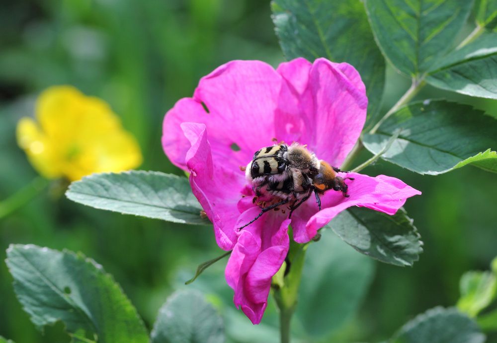 Фотография автора Кухта Мария