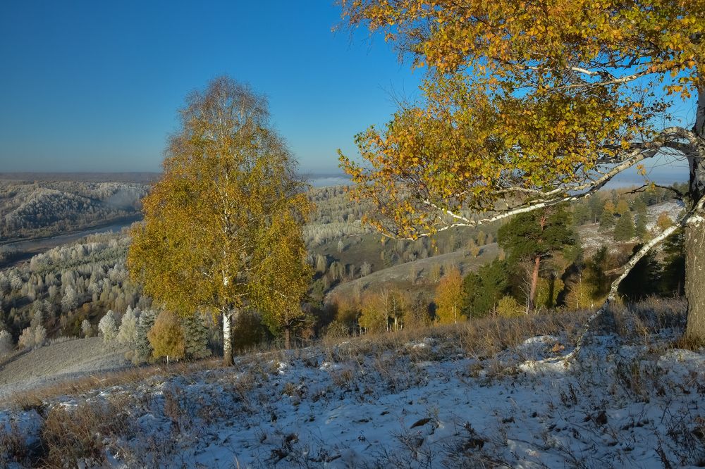 Октябрьские заморозки