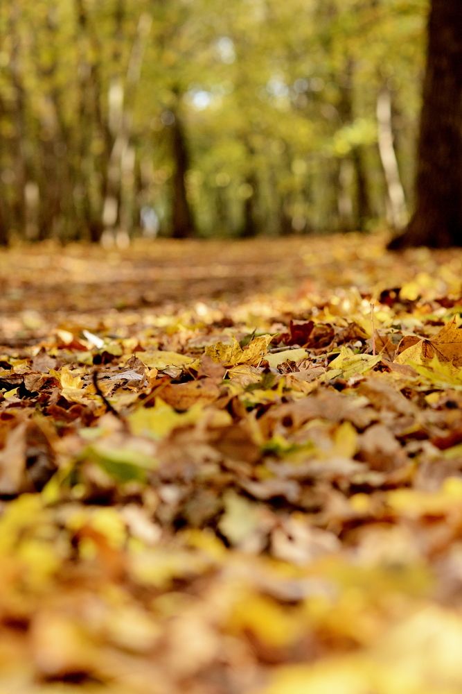 Photograph by Алексей Козлов