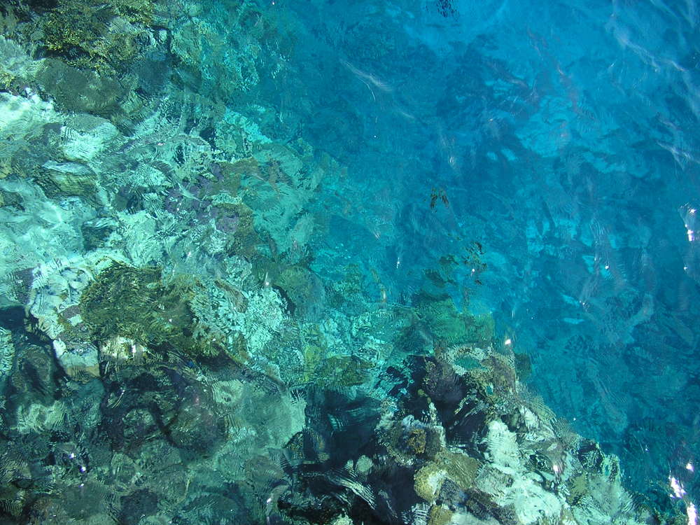 Photograph by Natalia Rassokhina