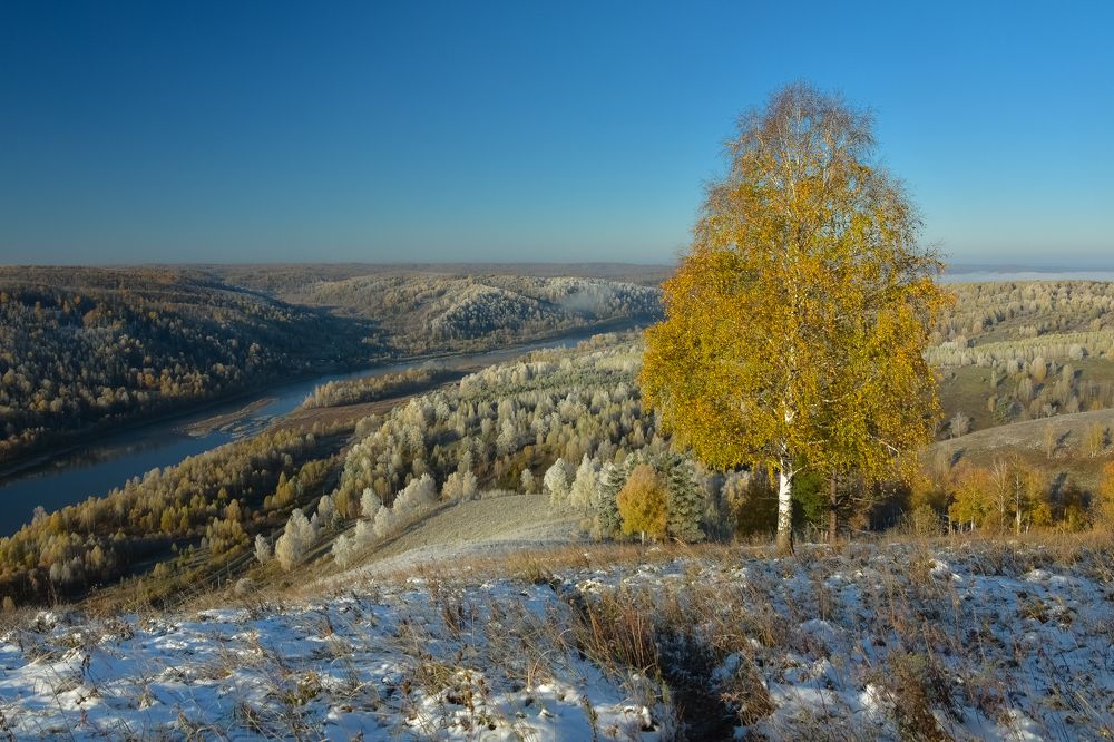 Октябрьские заморозки