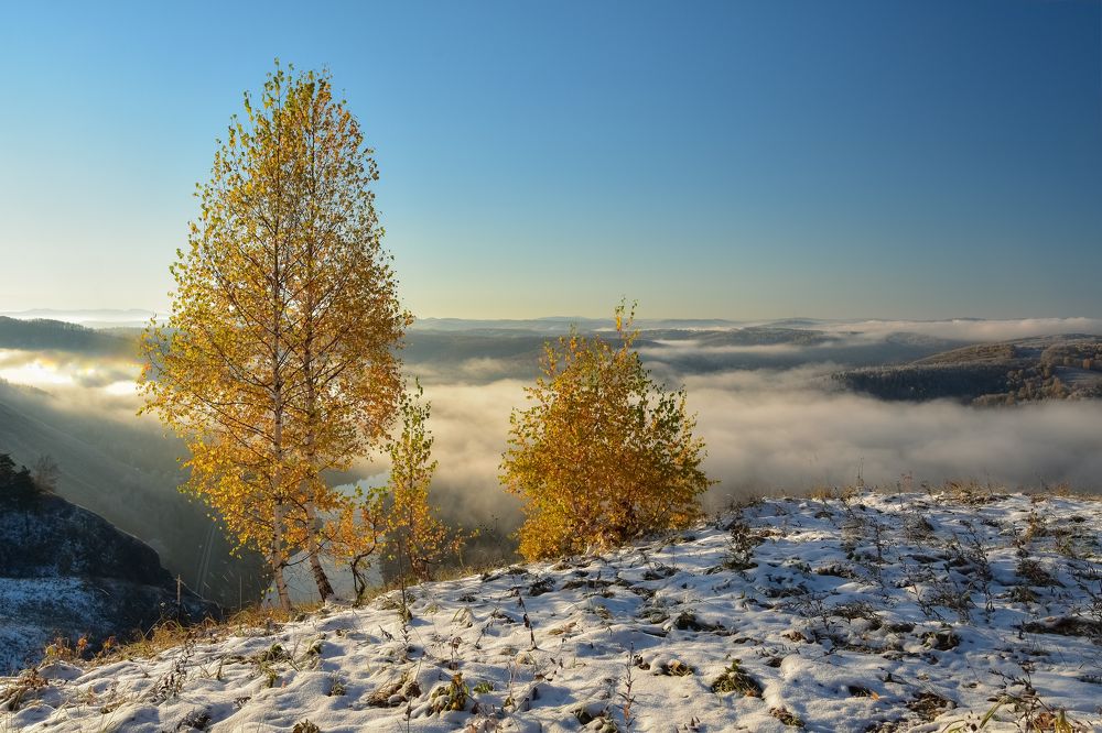 Осеннее утро на Катунских утёсах