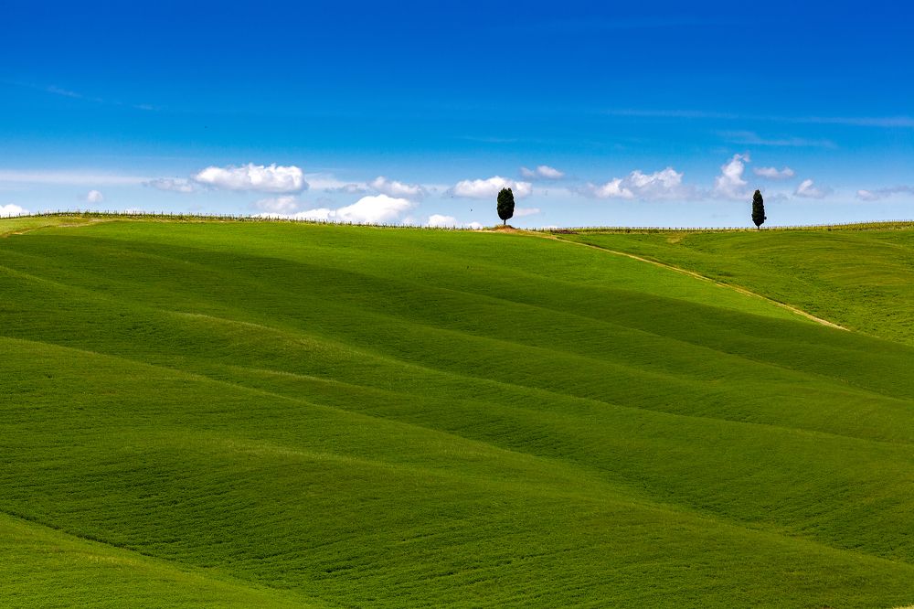 Photograph by Игорь Соколовский