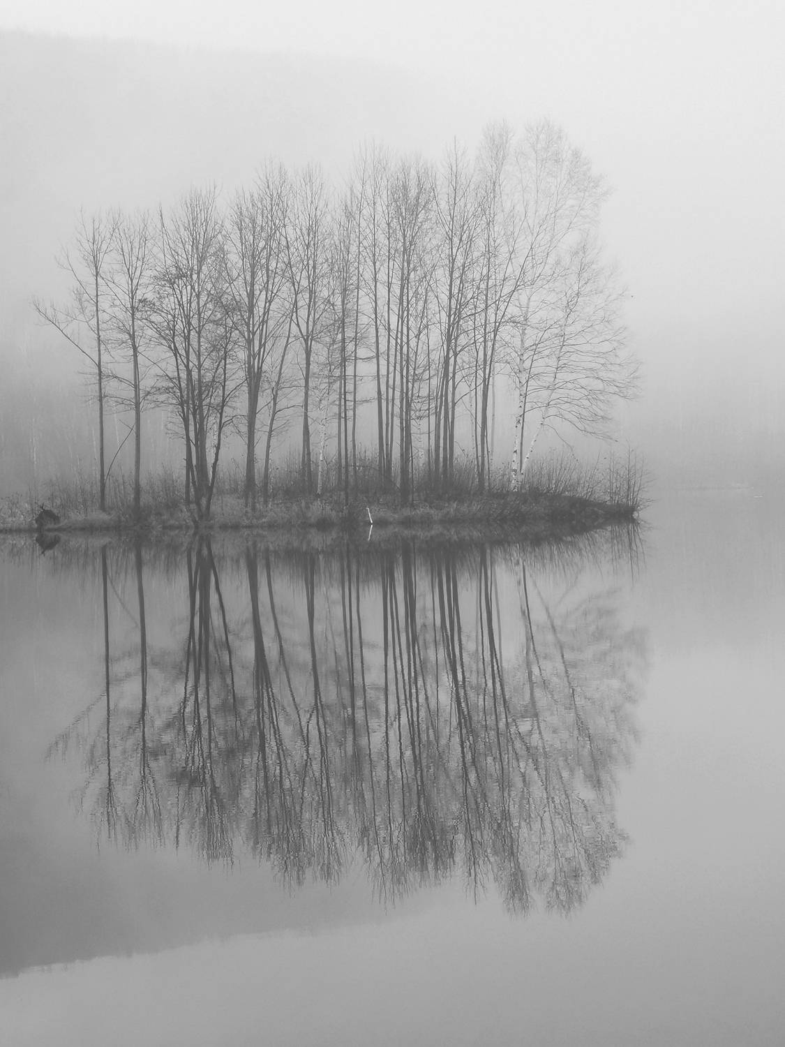 Photo #8191082