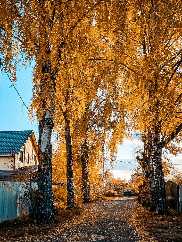 Photograph by Сергей Никифоров