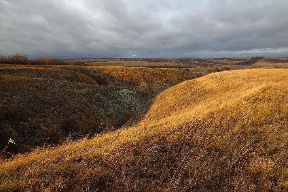 Photograph by Юрий Варюхин
