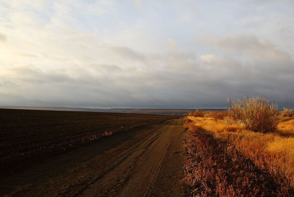 Photograph by Юрий Варюхин