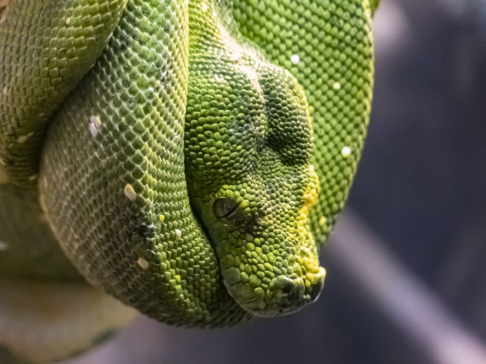 В раздумьях