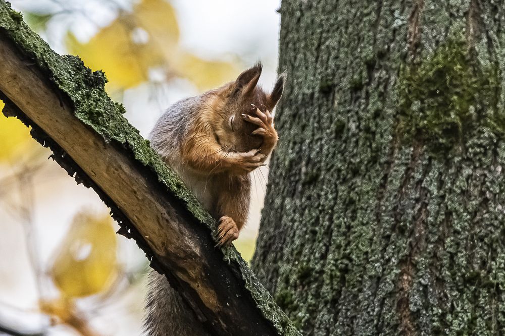 Photograph by Анна Иларионова
