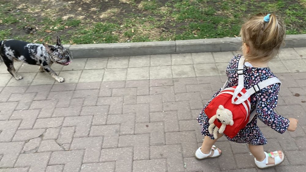 Photograph by Сергей Смирнов