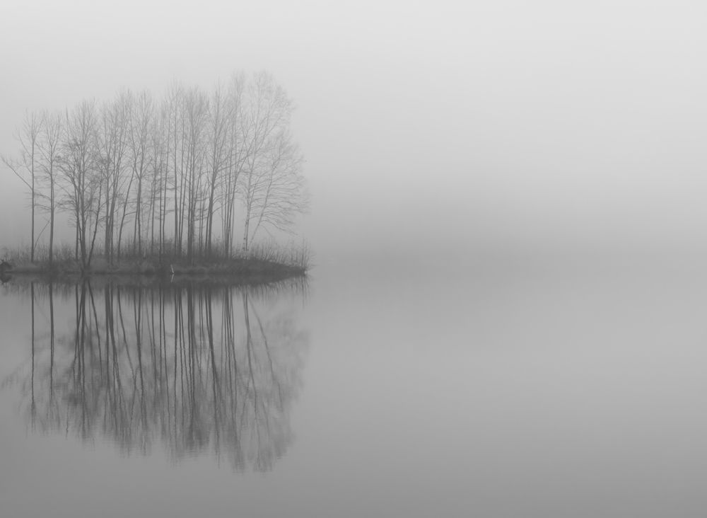Photograph by 