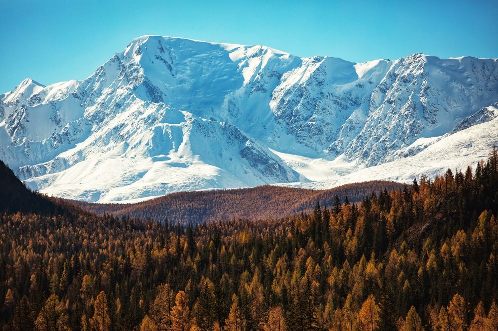 Осень горного Алтая